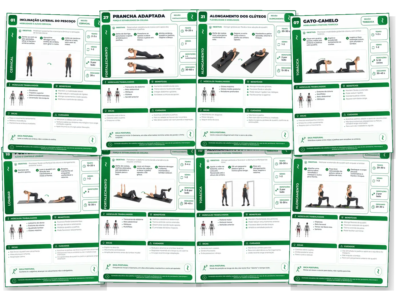 Mosaico com oito fichas ilustradas de exercícios para a coluna